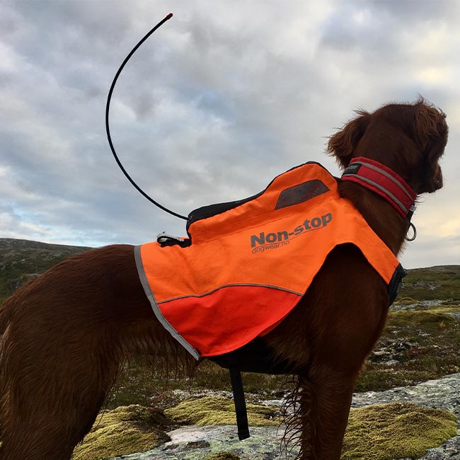 Non-Stop dogwear Protecor Vest GPS