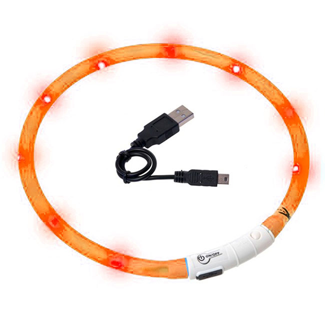 Visio Light LED-Hundelicht