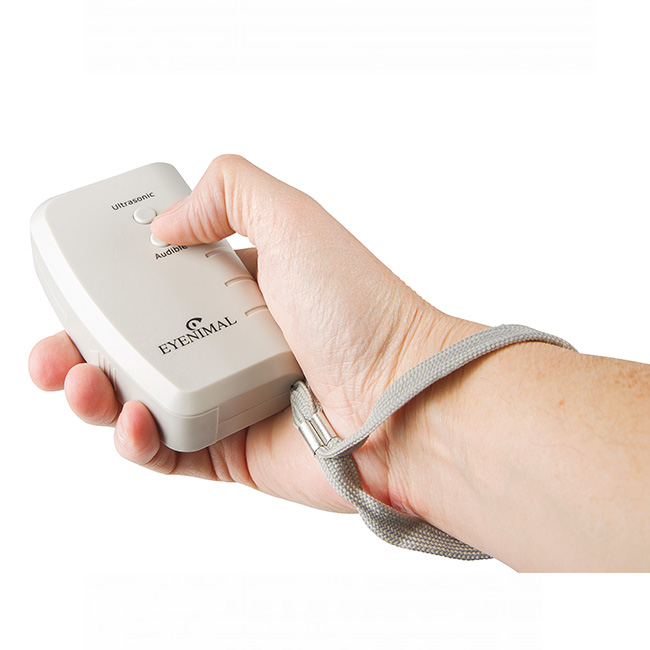 Ferntrainer ohne Strom Ferntrainer ohne Strom