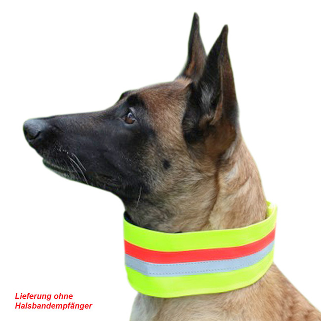 Hundeband fixPRO 75cm