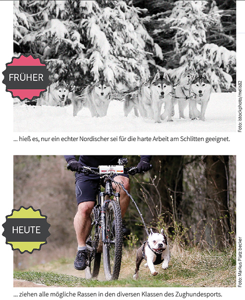 Zughundesport im Wandel