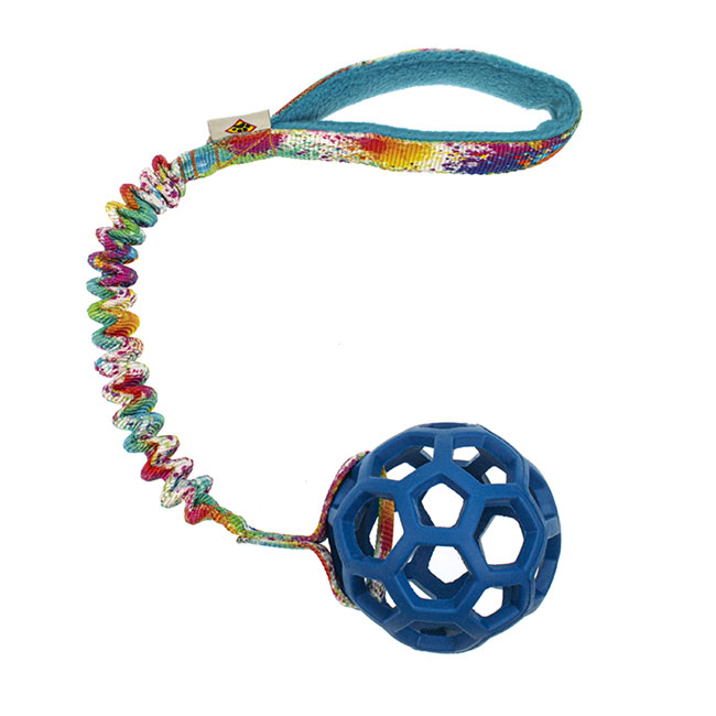 Hol-EE BASIC DCW S