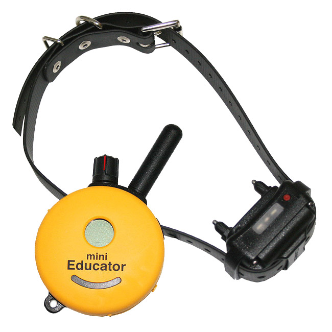 E-Collar miniEducator One