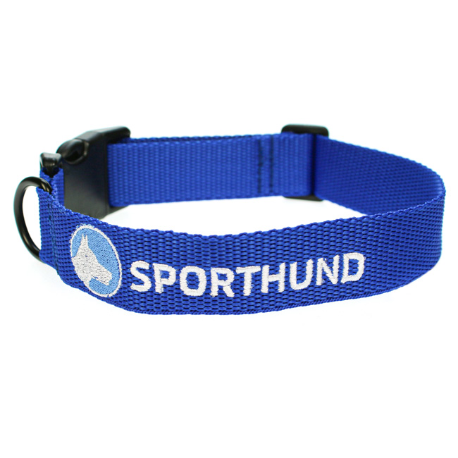 Sporthund Halsband 3 cm breit
