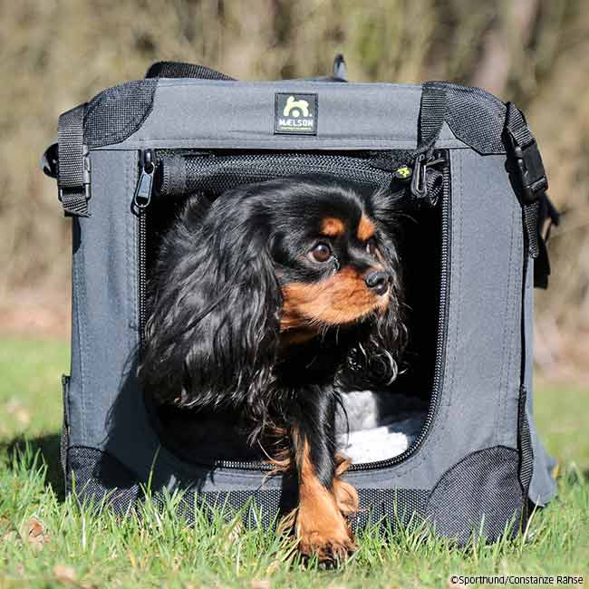 Maelson Soft Kennel Hundebox XXS/52