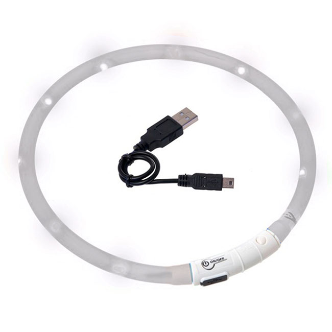 Visio Light LED-Hundelicht