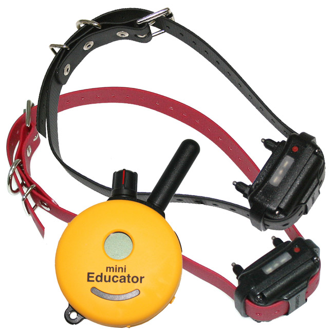 E-Collar miniEducator Two