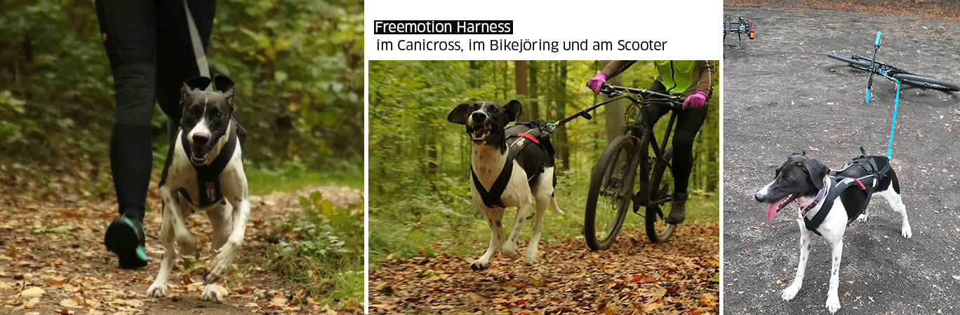 Freemotion in der Praxis