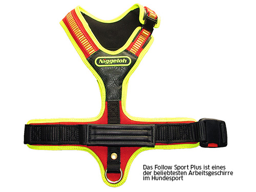 Niggeloh Follow Sport