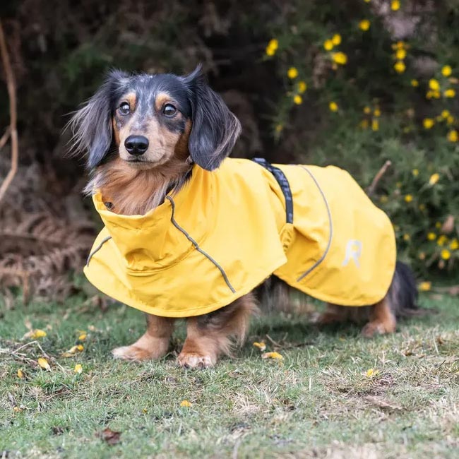 Rukka Pets Hayton eco Raincoat 25