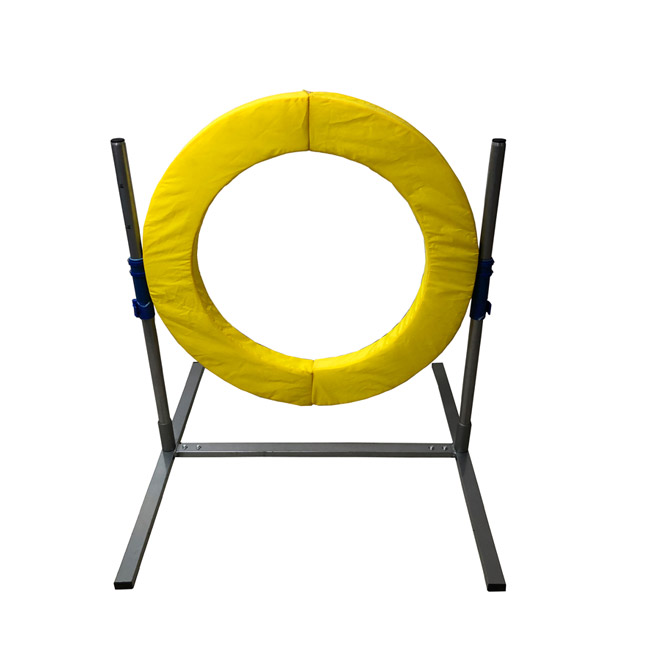 Profi Agility Sprung Ring