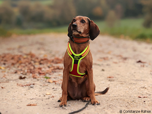 Vorderansicht Niggeloh Trail