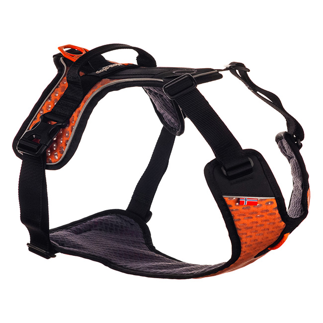 Non-Stop dogwear Ultra Harness