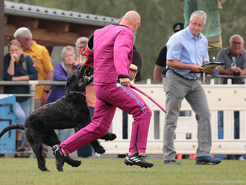 Alma von der Bügnitz