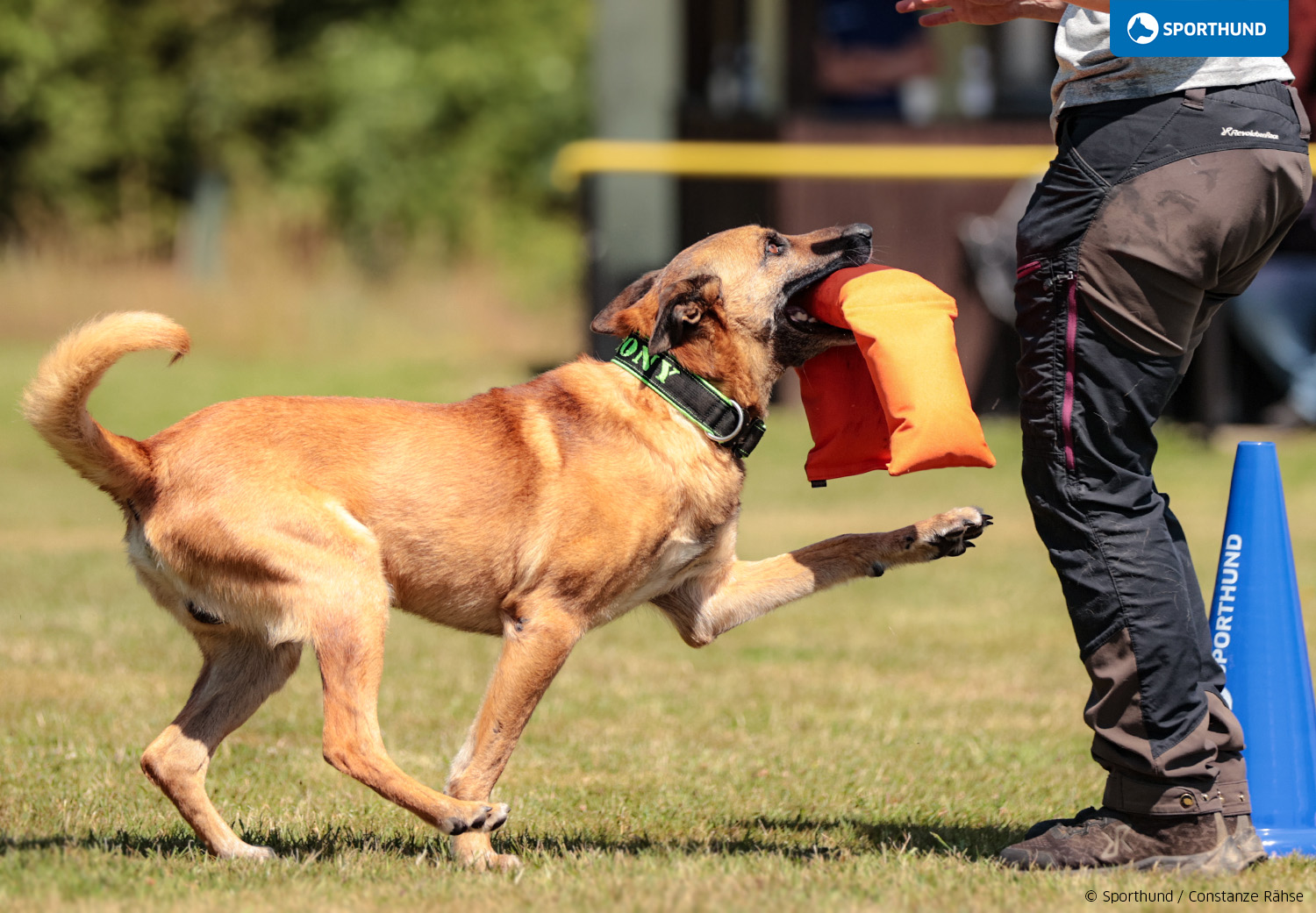 Praxistreff 3-Part-Dummy Mali