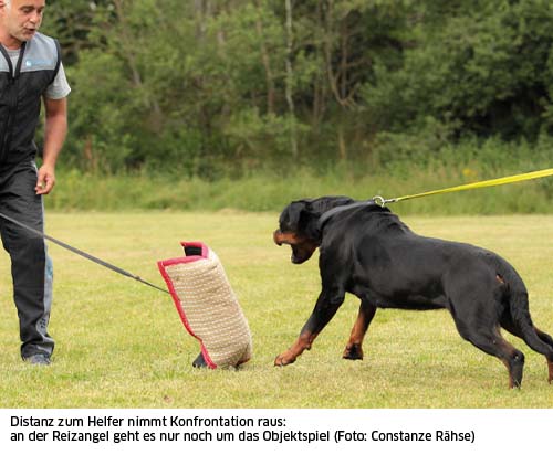 Rottweiler Reizangel Treib