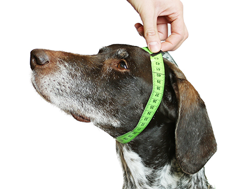 Kettenlange-messen-sprenger Kettenlange-messen-sprenger