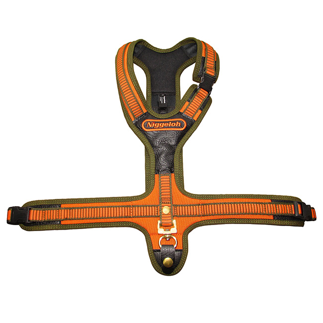 Niggeloh Geschirr Follow 3 S oliv-orange