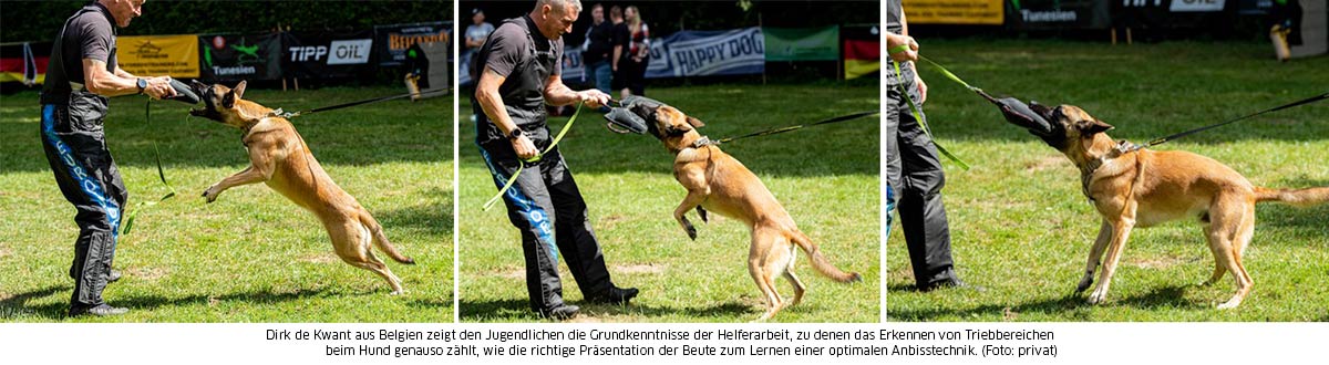 Helferarbeit_de_kwant