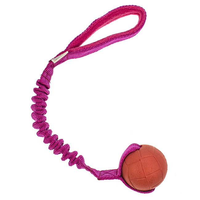 Hoko BASIC M