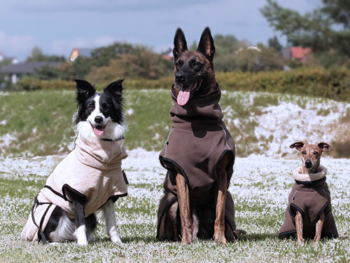 fuer-alle-was-dabei fuer-alle-was-dabei