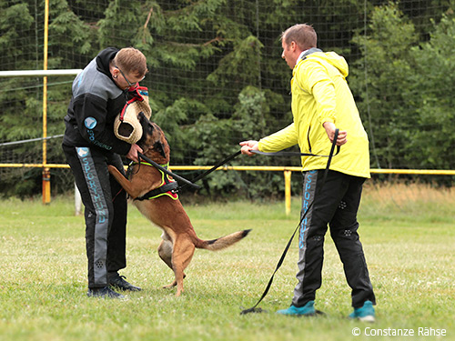 Einstellphase mit Malinois