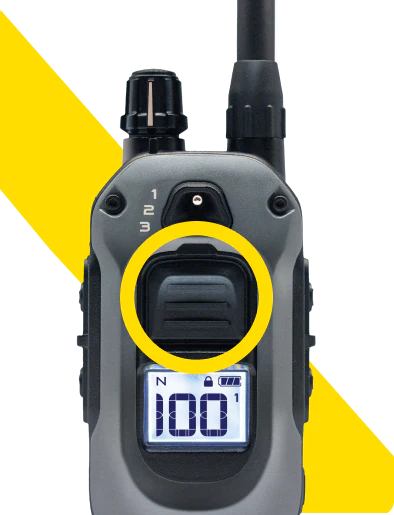 Mask_group_-_2024-08-12T234626.928