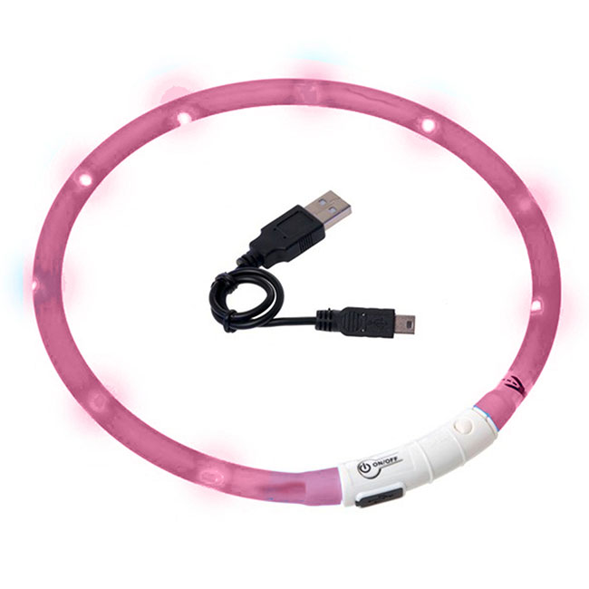 Visio Light LED-Hundelicht