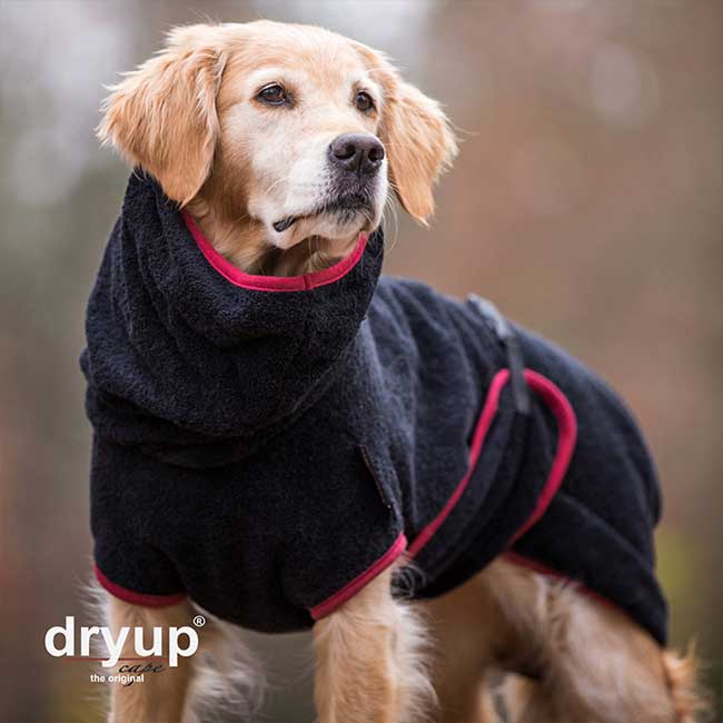 Dryup cape XL Black