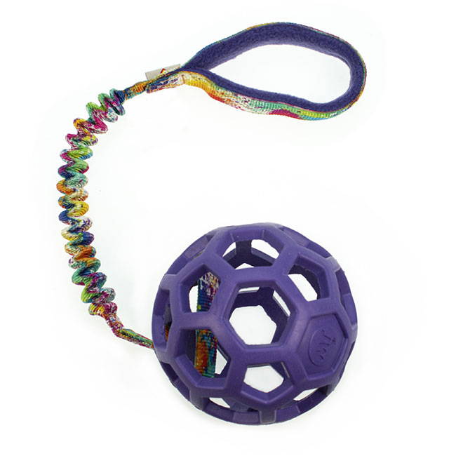 Hol-EE BASIC DCW M