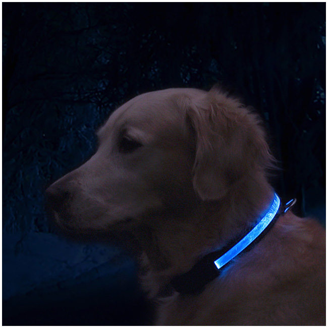 Eyenimal USB Light Collar