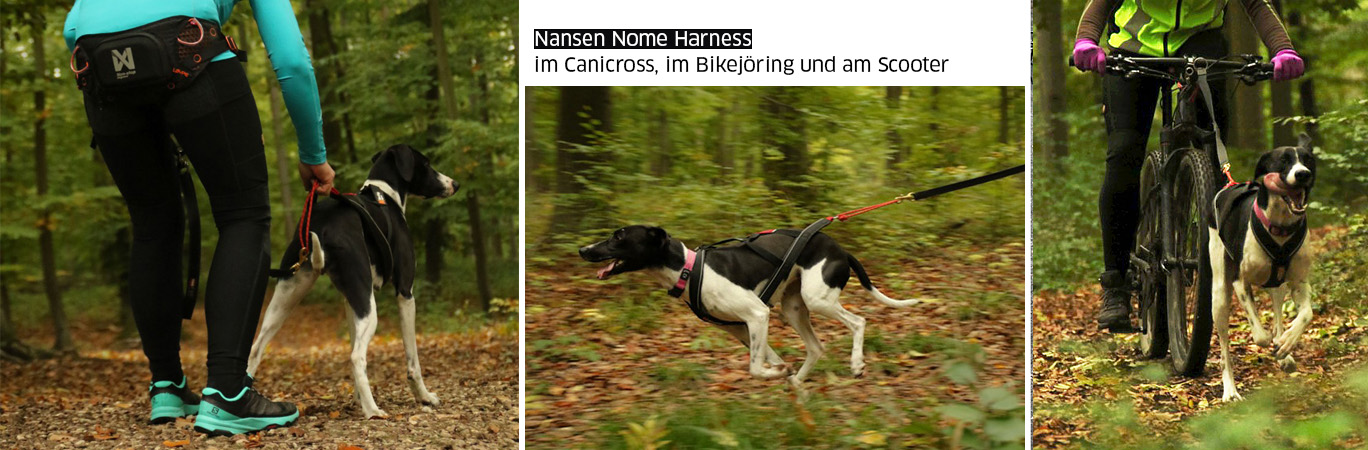 Nansen Nome in der Praxis