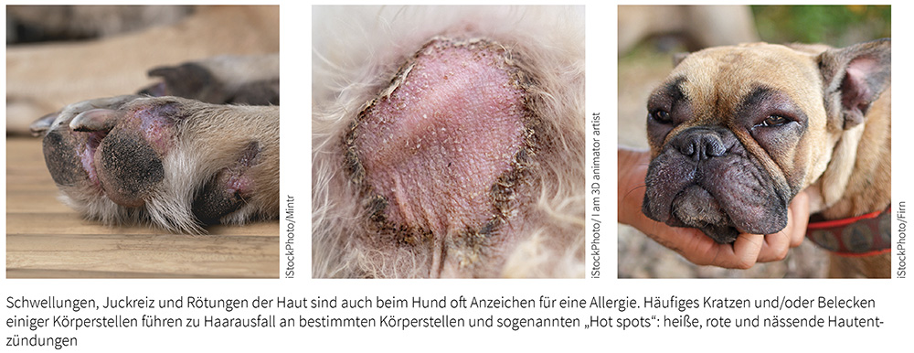 verschiedene Symptome