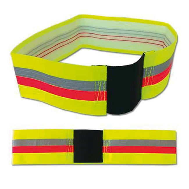 Hundeband Flex 7x38cm