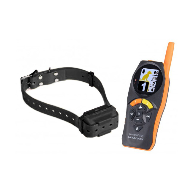 Ferntrainer mit Strom Ferntrainer mit Strom