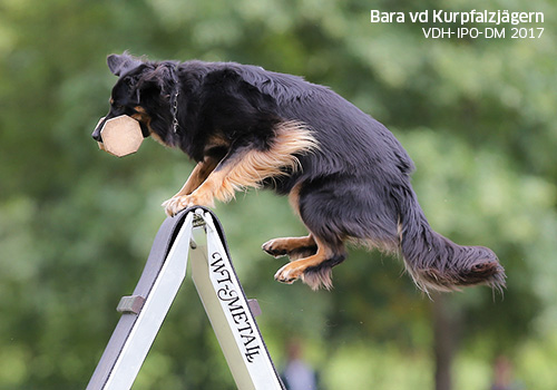 Bara vd Kurpfalzjägern