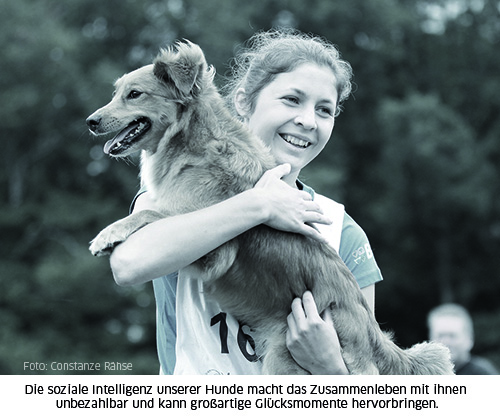 Mensch-trägt-Hund-auf-dem-Arm