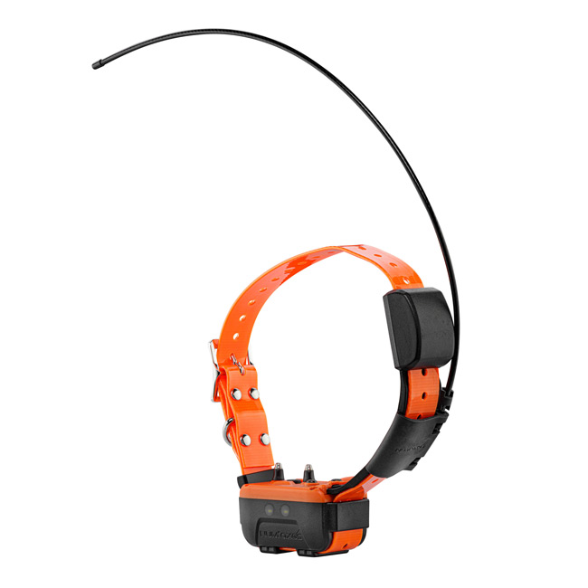 Canicom GPS 2 Zusatzhalsband