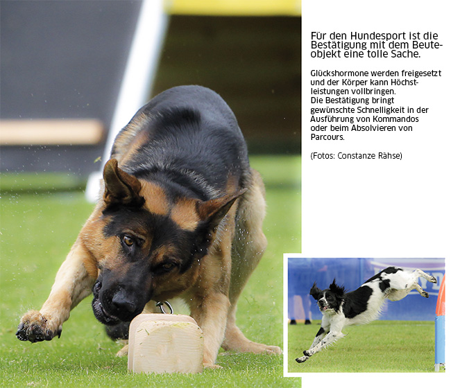 IGP & Agility liefern Glückshormone