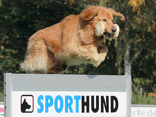 cinzano-vom-heizefeiz cinzano-vom-heizefeiz