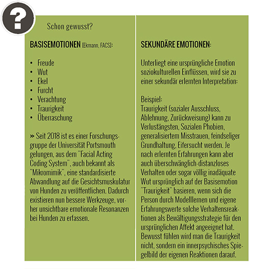 Basisemotionen & Sekundäre Emotionen