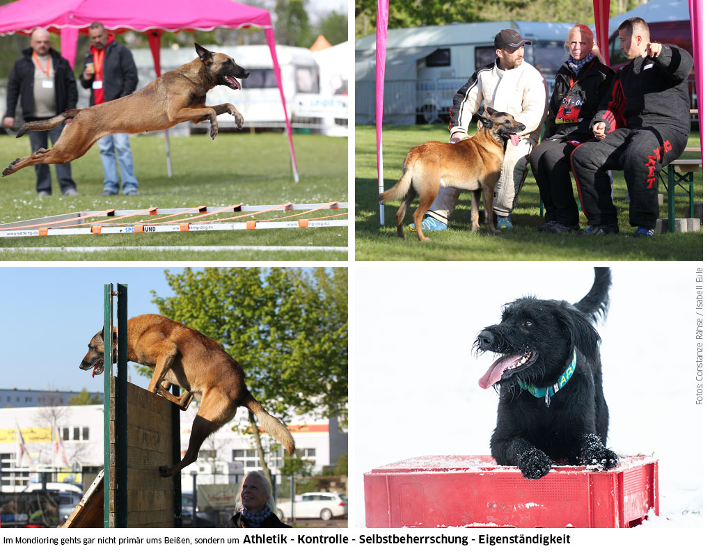 Mondioring ist nicht nur Beißen!