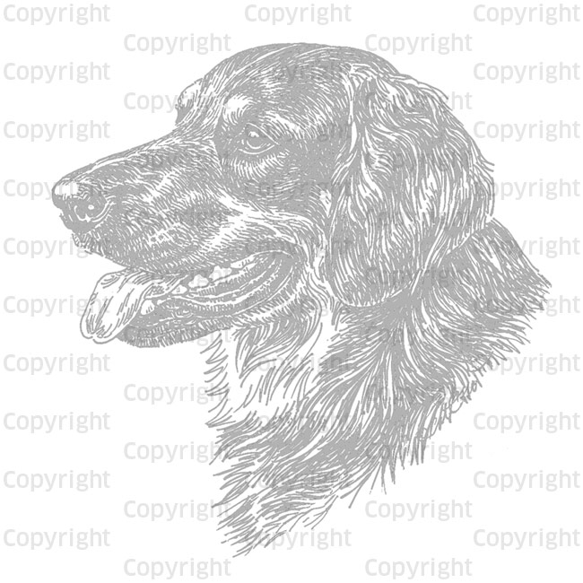 Aufkleber 15 cm Hovawart s/m, Profil