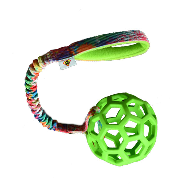 Hol-EE BASIC DCW M