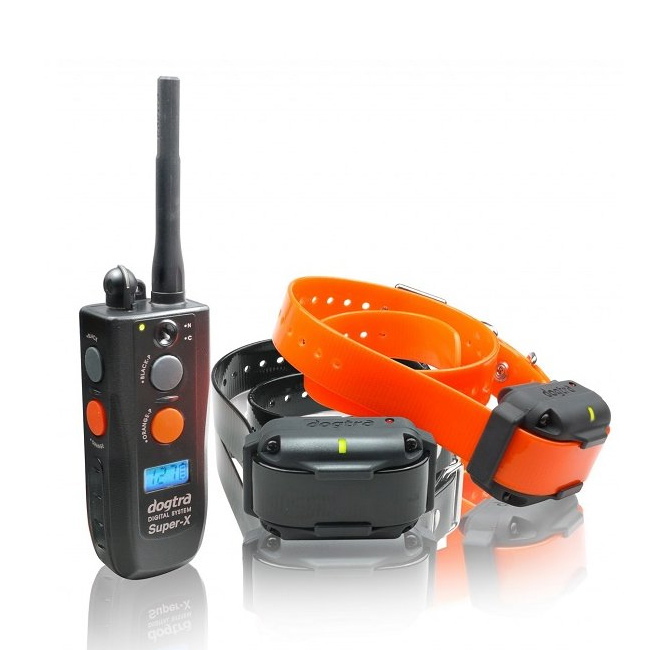 Ferntrainer mit Strom Ferntrainer mit Strom