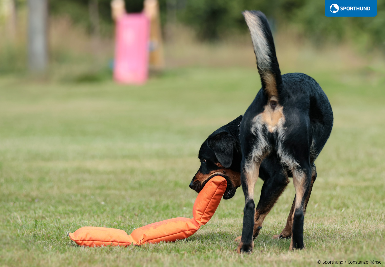 Praxistreff 3-Part-Dummy