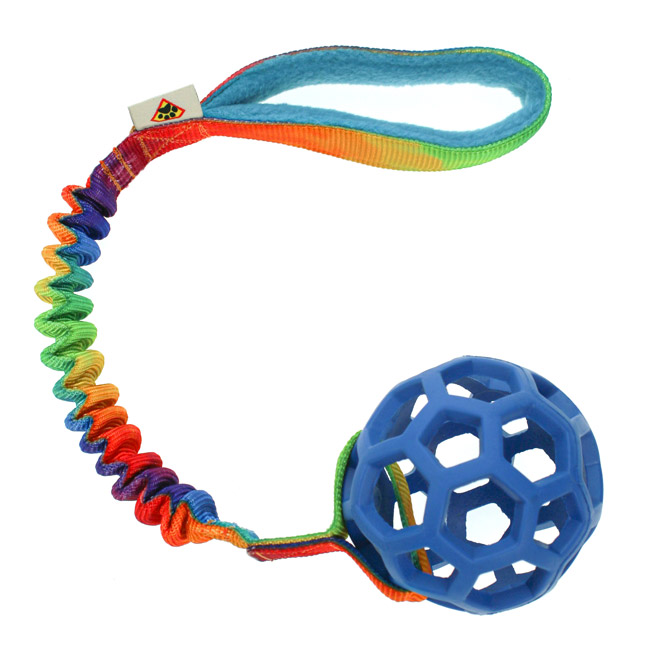 Hol-EE BASIC DCW S