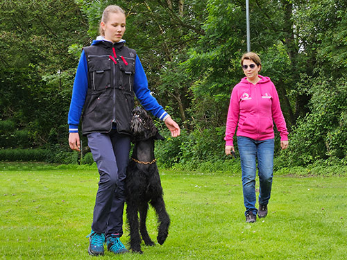 Unterordnung Unterordnung