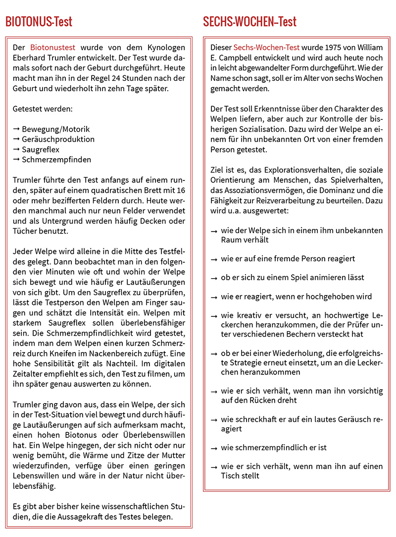 Biotonus-Welpentest und 6-Wochen-Welpentest