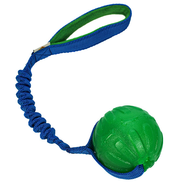 Treat Dispensing Chew Ball M/L mit Bungee-Seil